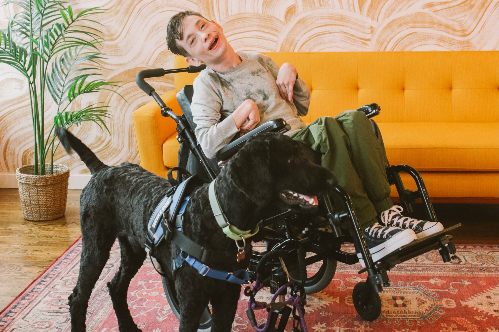 A young person seated on a wheelchair with a black support dog standing beside him. They are in a cozy room with a bright orange couch and leafy plant.